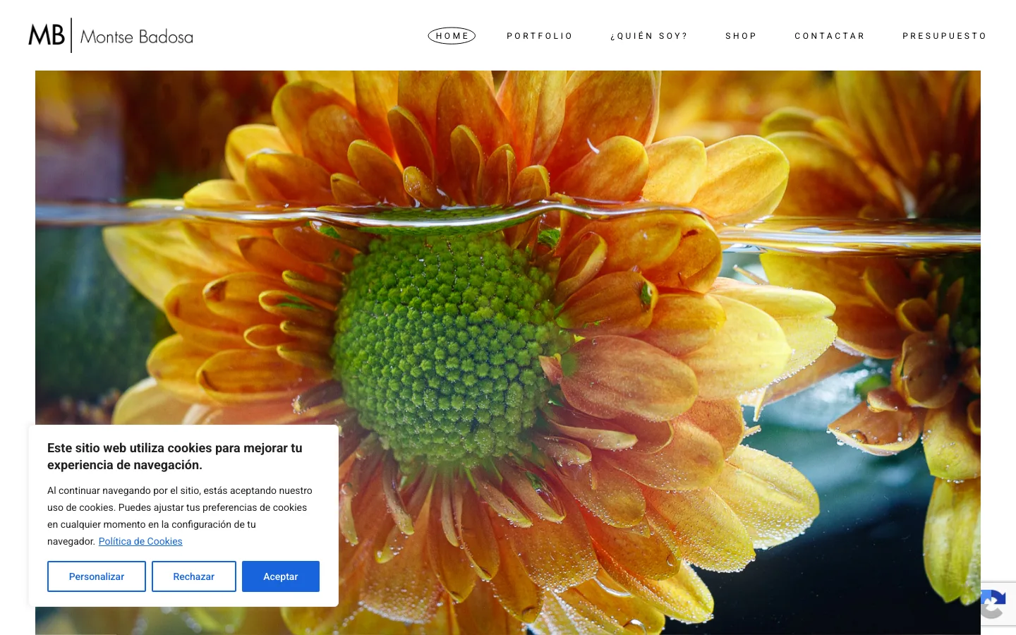 Website for Montse Badosa, fine art photographer